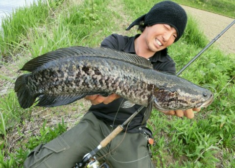 rk95w2otk6wo6tonudi5_920_657-c870b304.jpg
