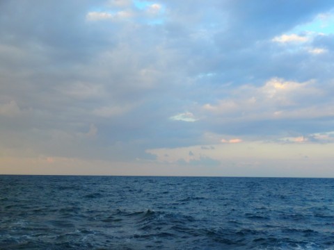 rknossyd9urfbuenvasa_480_480-38c0473e.jpg