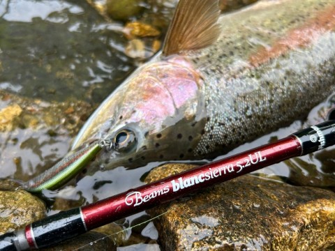 rko9d8p85gv47ujxc7kg_480_480-ef04aa02.jpg
