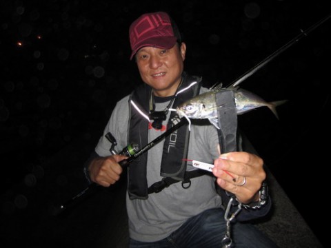 rkp4op8iztdboy49ohj8_480_480-cf56c56e.jpg