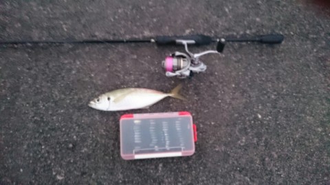 rkwb825rpgpvjhpon53k_920_518-226014bb.jpg