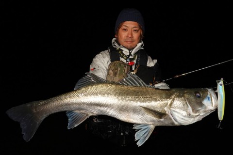 rm9bddn6itxaedwait83_480_480-39cec420.jpg