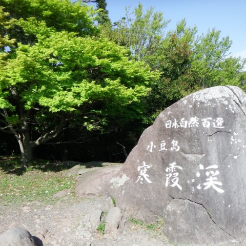 rmgc4drfvf8fec9mrwr6_480_480-58b67e4a.jpg