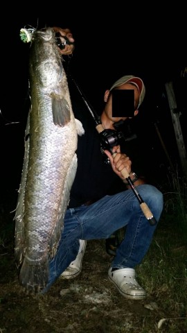 rmxd2d8syk29pstdvery_480_480-911857c4.jpg