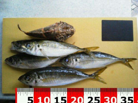 rn3gzd6cxdjoo4tg9avz_640_480-f084688a.jpg