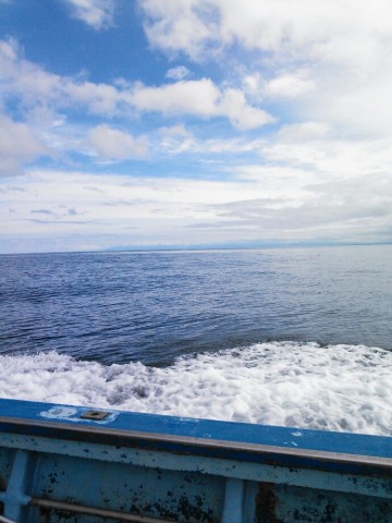 rn58kktipo967kmgouet_690_920-b86824ef.jpg