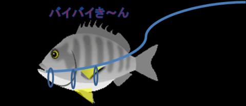 rn8b4ys6d83dfm549n7e_480_480-f793b18a.jpg