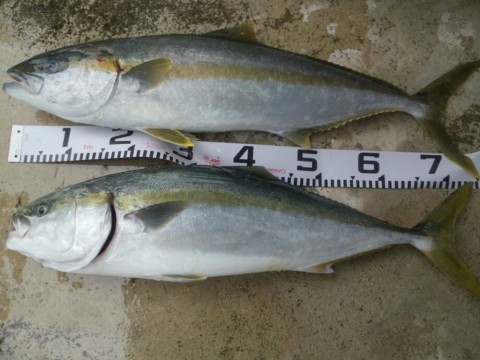 rndij7akfgi8imp52e3y_920_690-25cb11f7.jpg