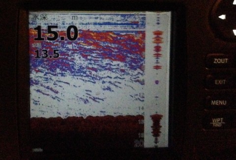 rnjdrdwmoeti85fd4tka_480_480-0a8c6b07.jpg