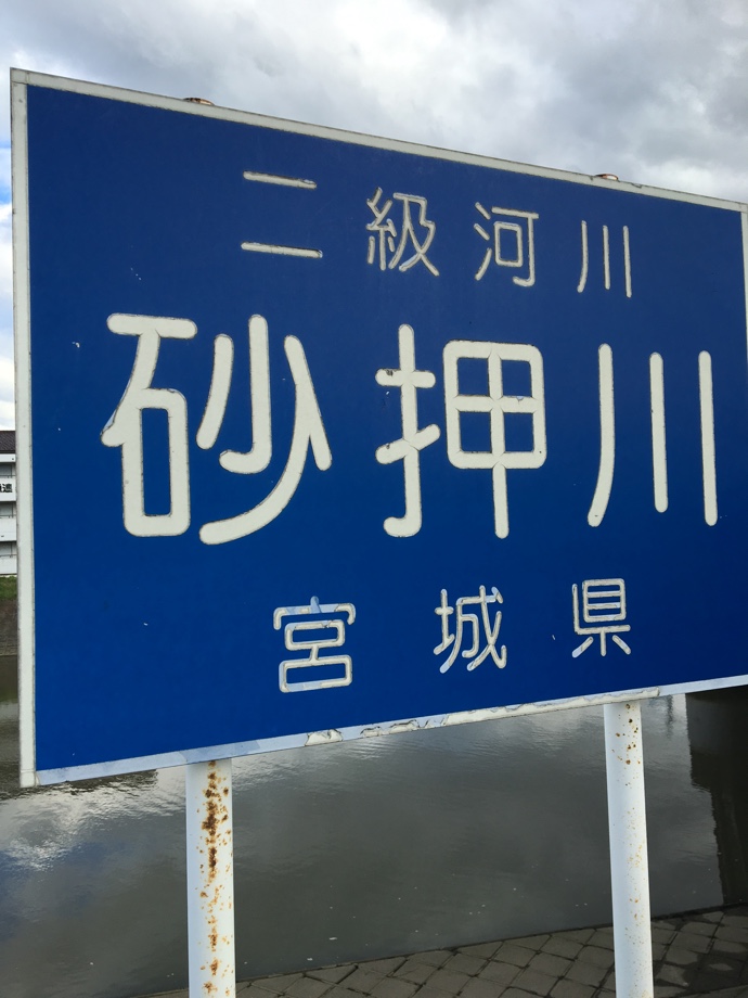 水たまりにでも投げたい 仙台出張 砂押川でシーバス 水たまりにでも投げたい 仙台出張 砂押川でシーバス