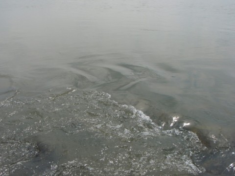 rnzgti7vx7ie4txhpns4_480_480-ccd9380a.jpg