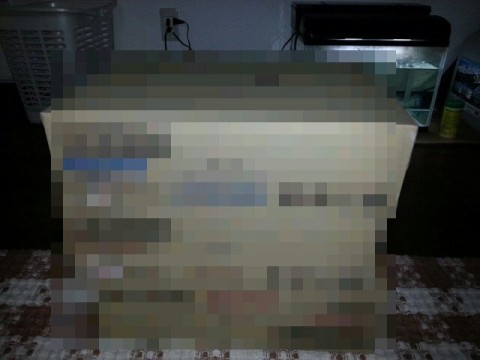 rnzz26gbbwww3nbsek7c_640_480-492fd55d.jpg