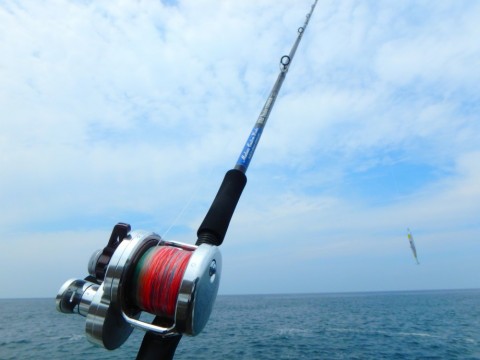ro43dted3537846fkbt5_480_480-decbec98.jpg