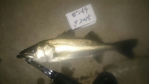 rocx3rsug4ie6kgx6ko9_920_518-1e09af96.jpg