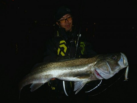 roeetvkr94tee5hep3uz_920_690-48215b11.jpg