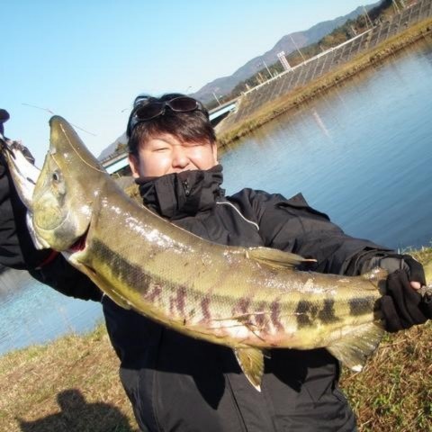 rox5mxsz69eh2476doec_920_920-624804bd.jpg