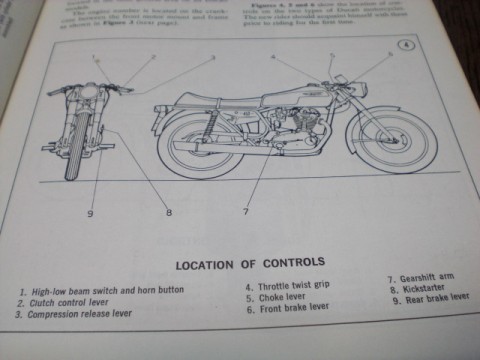 roy5kw4c6u6xs78fovhc_480_480-8c2ef9a7.jpg