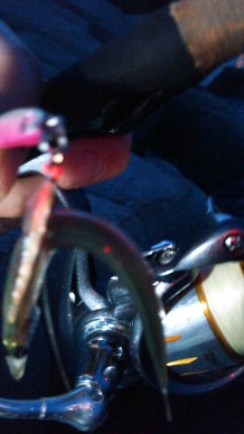 rp3wbmxreu9iycyi9h4y_518_920-964adec7.jpg