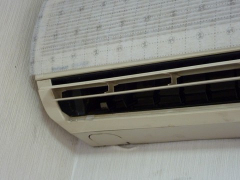 rp5ehd79xr8jye5wj32r_480_480-ee9f1a70.jpg