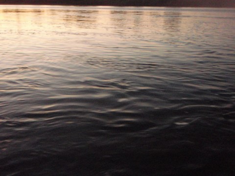 rpb6xrjcrpp9uy97dv95_480_480-b944f5f2.jpg
