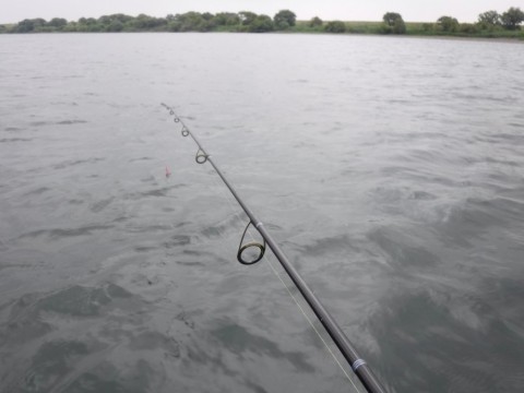 rpe3jbwte3yya3y94sh3_480_480-1b782c75.jpg