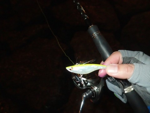 rphozz68rwwjbo3k9cs2_480_480-6631a804.jpg