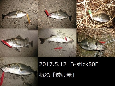 rppi66v4a4ejwk55jtw9_480_480-f47636ab.jpg
