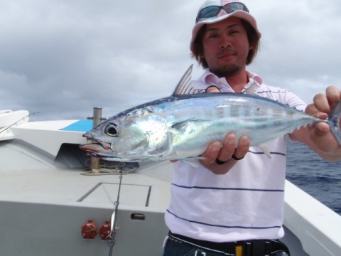 rrfv4wajshyen3tnb77e_480_480-f3ff7c44.jpg