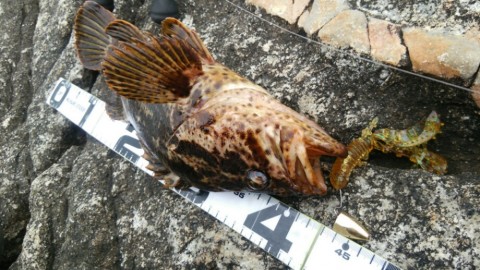 rrrchik397edyt768m25_920_518-90ce4566.jpg