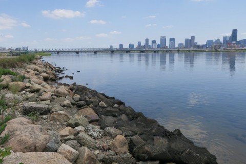 rs5nxrhpj8zcd4r8fdag_480_480-0fa7d41d.jpg