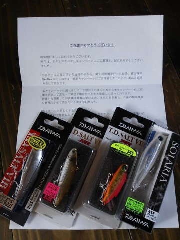 rs894pcmcfkbm98bdboa_480_480-ba65b535.jpg