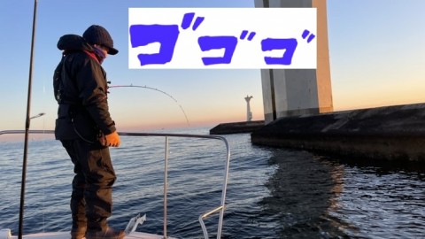 rsam5ckw823aid5fvasu_480_480-9e5e6c73.jpg