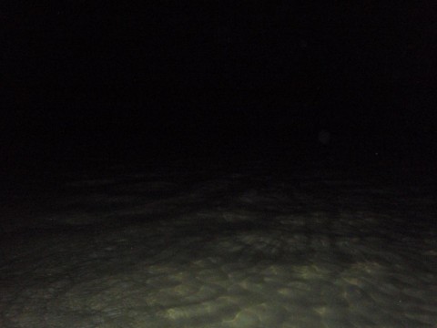 rsbe2wt6ff5ie9ay63ch_480_480-e63c4376.jpg