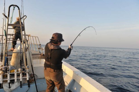 rse9njj3jb7k6fgiuotx_480_480-3c37e296.jpg