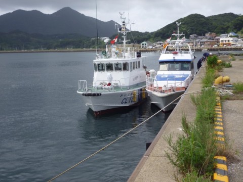 rsydpj2nz792zhrumksv_480_480-b8c03f72.jpg