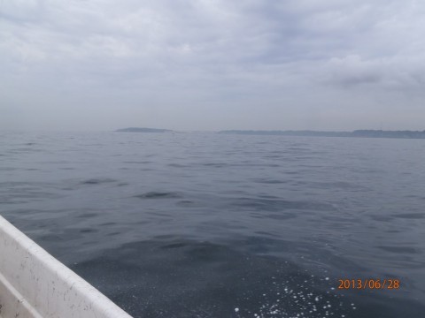 rtc2mjakcvxsn8xn8x5u_480_480-0de668c7.jpg