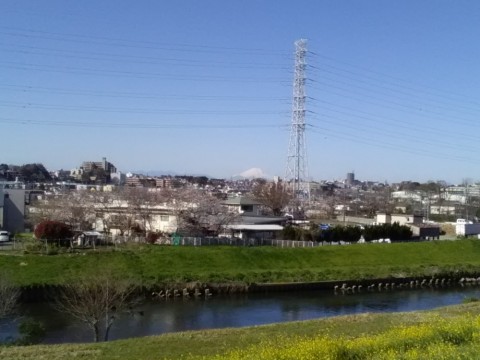rticvi4e7ui9ccpgjuww_480_480-ab9ac8cc.jpg