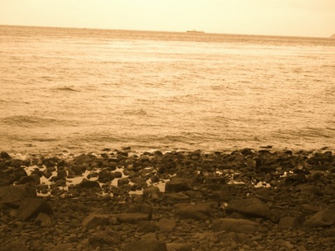 rtjfyegdknnwhhmyr8nx_480_480-69b71c0b.jpg