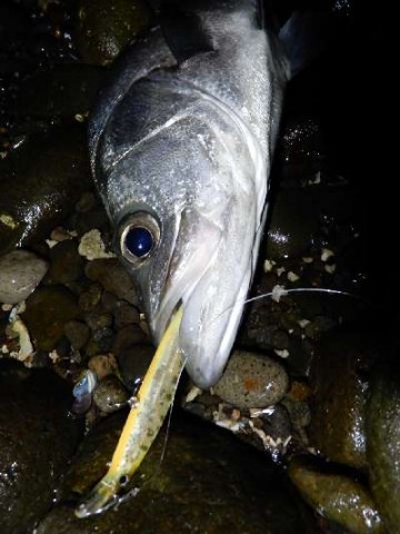 rtzb5asnf5zsifb6bxiv_480_480-ade7cca0.jpg