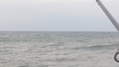 ruao3s9kce7d3estr83t_920_517-0ea4c239.jpg