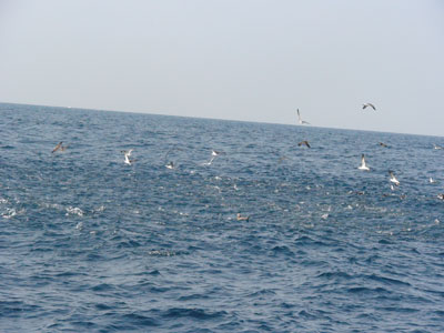 rukbvcg6acti5dng6sdg-836e82b4.jpg