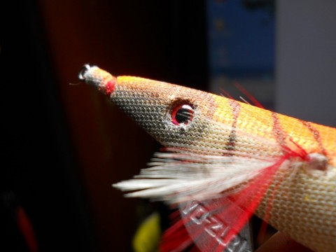 ruksdm8dbpw6yzoe59cn_480_480-04f01dda.jpg