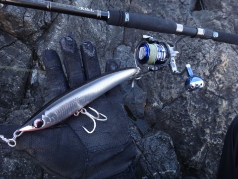 rutn69rpfeibu5fyof6d_480_480-3deb0faf.jpg
