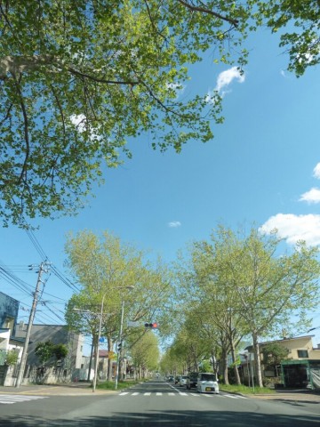 ruybgtkcyc3xwu83x244_690_920-9b7a6781.jpg