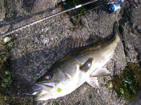 rwi2b2xfpv92sranx4st_920_690-09028d65.jpg