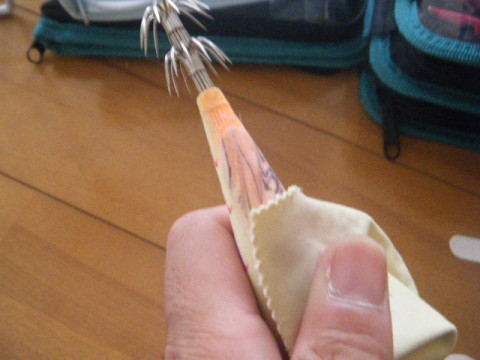 rwimuf3j83coceukmxfo_480_480-43e2eaed.jpg