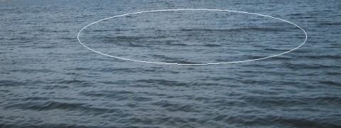 rwodr5p8x2tjdfmzrr9k_480_480-cfc1ce19.jpg