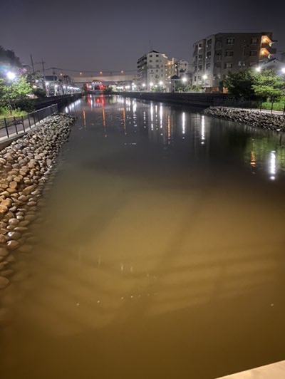 えびちゃん東京爆釣族 花畑運河