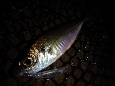 rws5ft2mizgay5yrs9g8_920_690-45d38c51.jpg