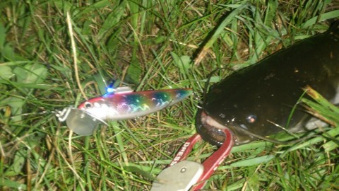 rwyoh6xrod6ugrgfo2ge_920_517-c5df1d34.jpg